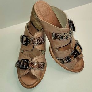 Free bird heeled sandals